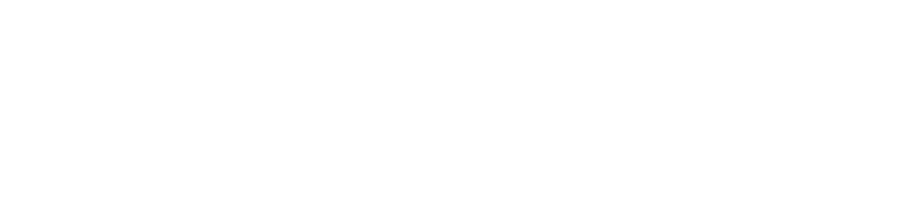Preferred Networks, Inc.